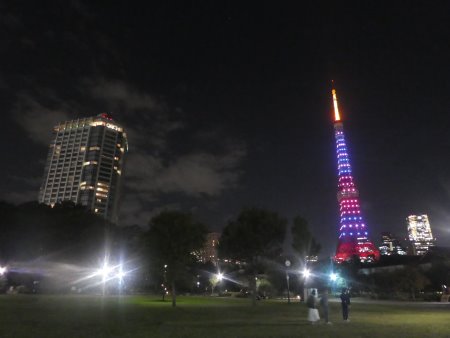東京タワー「マジック・ハロウィン ダイヤモンドヴェール」(4)/2017.10.31