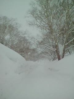雪の回廊