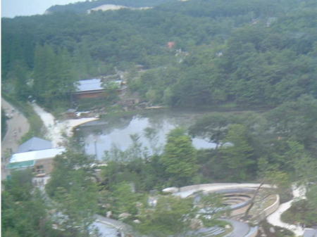 キッコロ・ゴンドラからの眺め/かえで池と日本庭園。真ん中上の赤い屋根の建物(小さな点のように見える)が「サツキとメイの家」