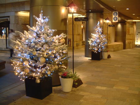 六本木ヒルズのクリスマスツリー