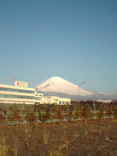 富士山＼(^^)／
