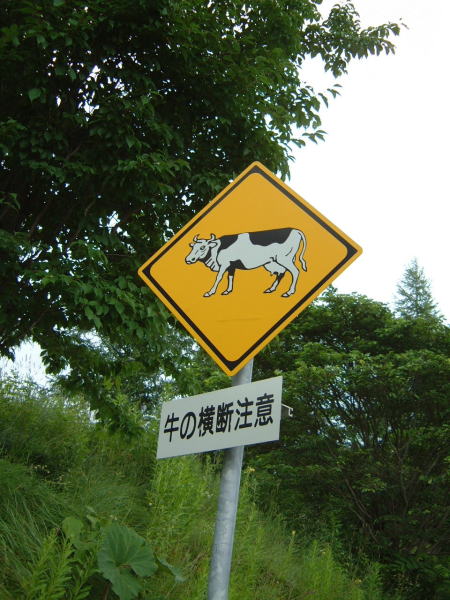 牛の横断注意の交通標識