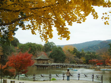 奈良公園・浮御堂