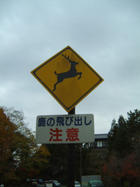 鹿の飛び出し注意