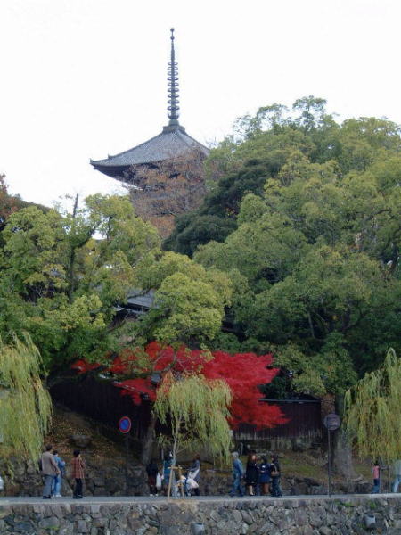 興福寺・五重塔と紅葉